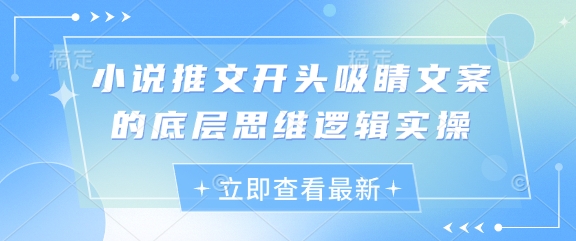 小说推文开头吸睛文案的底层思维逻辑实操-彼飞网创