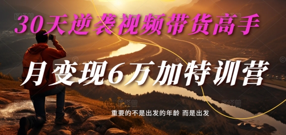 30天逆袭视频带货高手，单月变现6万加特训营-麦子甜-彼飞网创