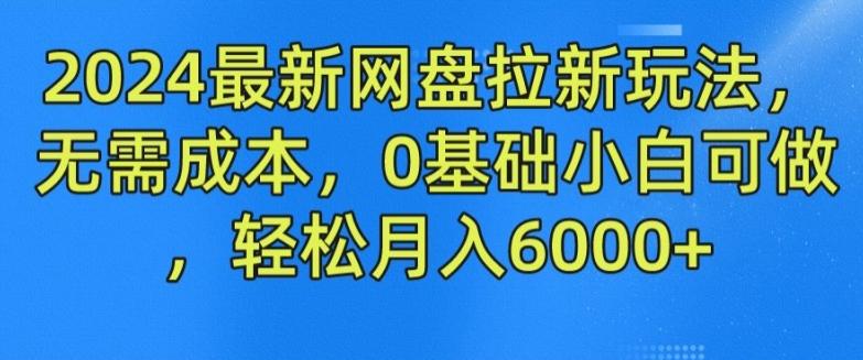 2024最新网盘拉新玩法，无需成本，0基础小白可做，轻松月入6000+【揭秘】-彼飞网创