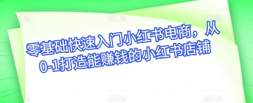 零基础快速入门小红书电商，从0-1打造能赚钱的小红书店铺-彼飞网创