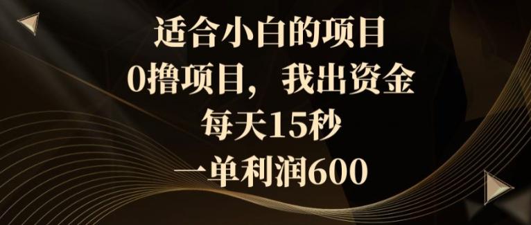 适合小白的项目，0撸项目，我出资金，每天15秒，一单利润600-彼飞网创