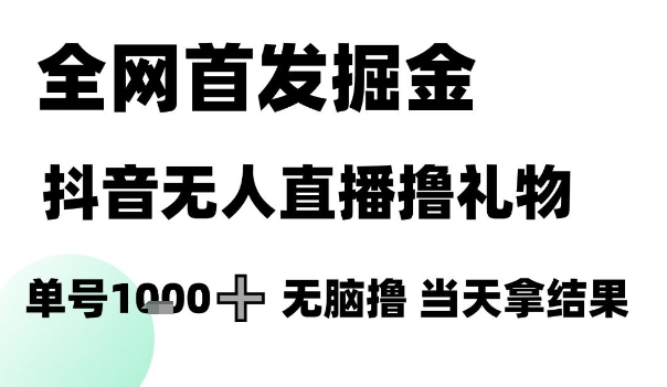 全网首发掘金抖音无人直播撸礼物，单号1k +无脑撸，当天拿结果【揭秘】-彼飞网创