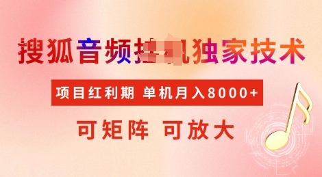 全网首发搜狐音频挂JI独家技术，项目红利期，可矩阵可放大，稳定月入8k【揭秘】-彼飞网创