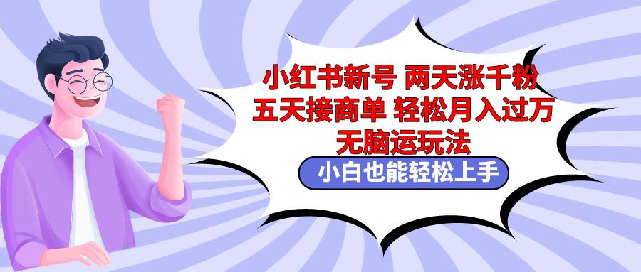 小红书新号两天涨千粉五天接商单轻松月入过万 无脑搬运玩法 小白也能轻…-彼飞网创
