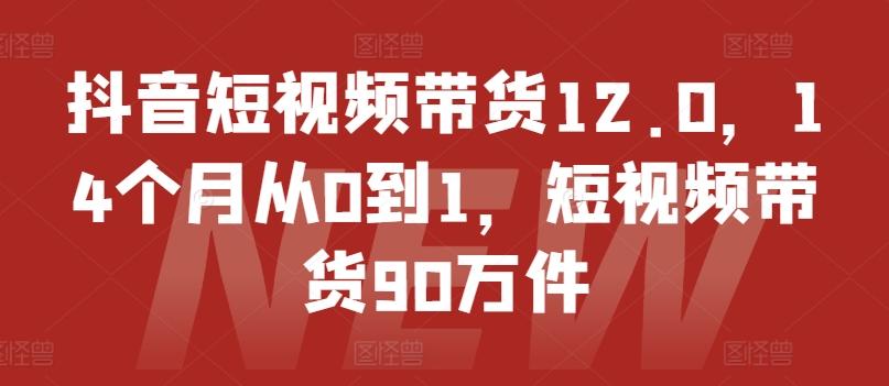 抖音短视频带货12.0，14个月从0到1，短视频带货90万件-彼飞网创
