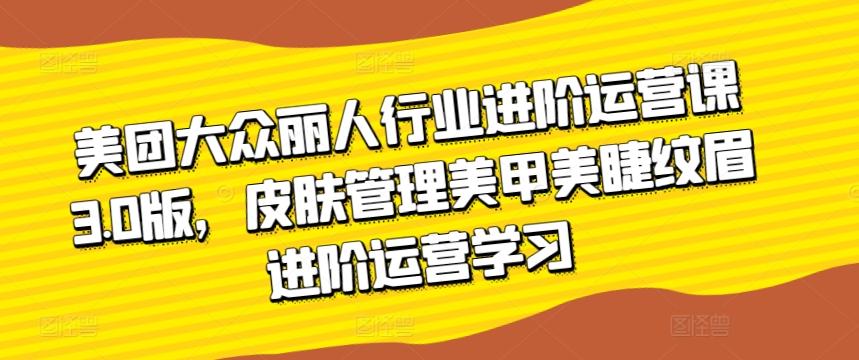 美团大众丽人行业进阶运营课3.0版，皮肤管理美甲美睫纹眉进阶运营学习-彼飞网创