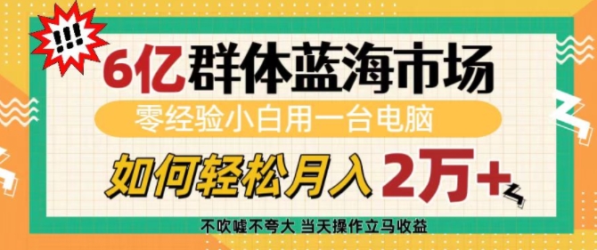 6亿群体蓝海市场，零经验小白用一台电脑，如何轻松月入过w【揭秘】-彼飞网创