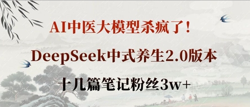 AI中医大模型杀疯了！DeepSeek中式养生2.0版本，十几篇笔记粉丝3w+-彼飞网创