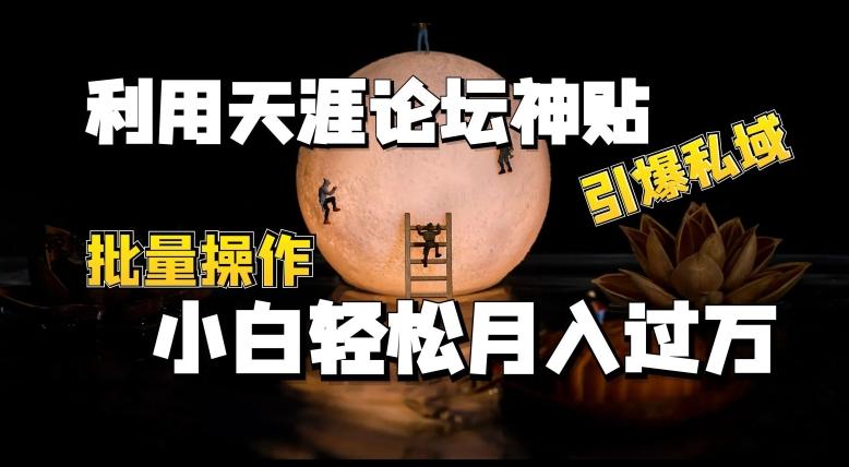 利用天涯论坛神贴，引爆私域，批量操作，小白轻松月入过w【揭秘】-彼飞网创