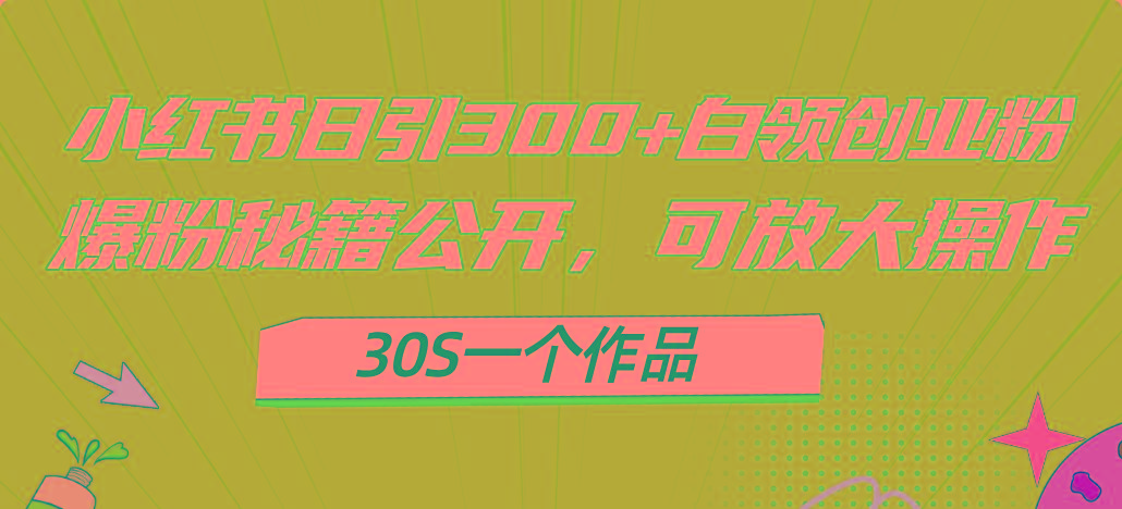 小红书日引300+高质白领创业粉，可放大操作，爆粉秘籍！30s一个作品-彼飞网创