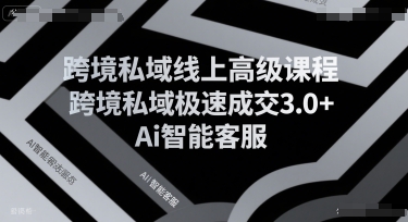 跨境私域线上高级课程，跨境私域极速成交3.0+Ai智能客服-彼飞网创