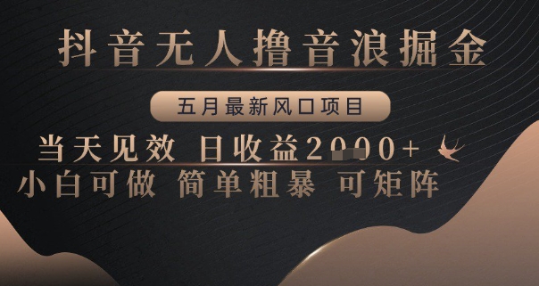 抖音无人撸音浪掘金，五月最新风口项目，当天见效，日收益多张，小白可做简单粗暴可矩阵【揭秘】-彼飞网创
