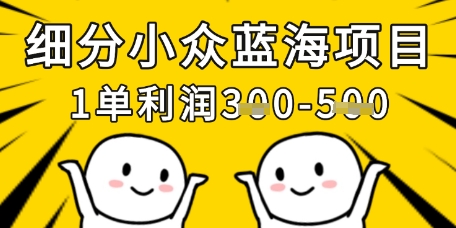 细分小众蓝海项目，一单利润3张，每月收入稳定过1w+-彼飞网创