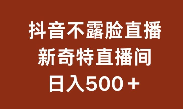 不露脸挂机直播，新奇特直播间，日入500+【揭秘】-彼飞网创