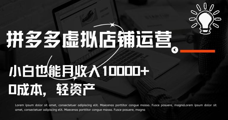 拼多多虚拟店铺运营小白也能月收入10000+【揭秘】-彼飞网创
