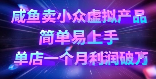 咸鱼卖小众虚拟产品，简单易上手，单店一个月利润破W-彼飞网创
