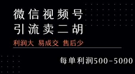 视频号卖二胡教程，利润大 易成交 售后少，一单利润5张+-彼飞网创