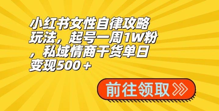 小红书女性自律攻略玩法，起号一周1W粉，私域情商干货单日变现500＋-彼飞网创