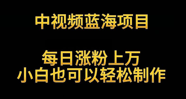 中视频蓝海项目，解读英雄人物生平，每日涨粉上万，小白也可以轻松制作，月入过万不是梦【揭秘】-彼飞网创