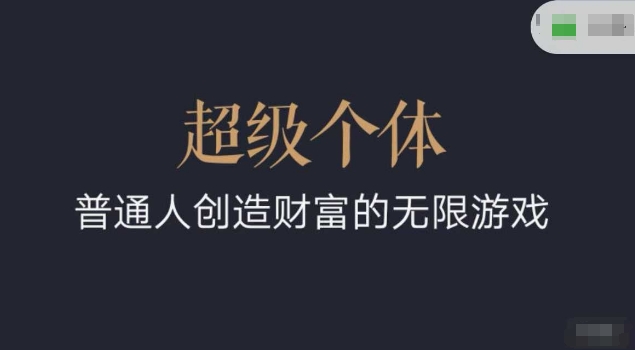 超级个体2024-2025翻盘指南，普通人创造财富的无限游戏-彼飞网创