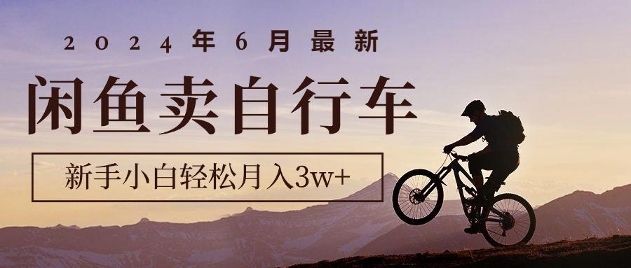 2024年6月最新闲鱼卖自行车，新手小白轻松月入3w+项目-彼飞网创