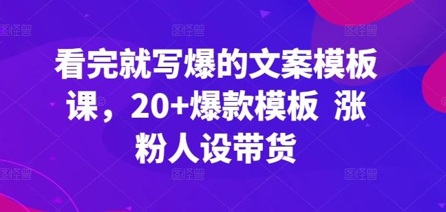 看完就写爆的文案模板课，20+爆款模板  涨粉人设带货-彼飞网创