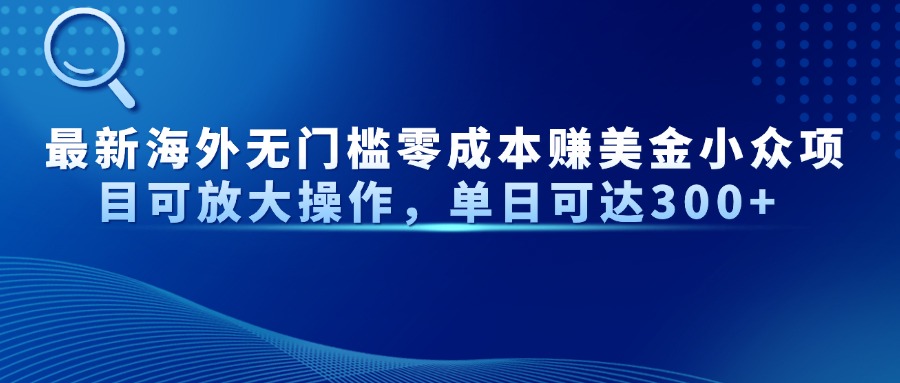 最新海外无门槛零成本赚美金小众项目可放大操作，单日可达300+-彼飞网创