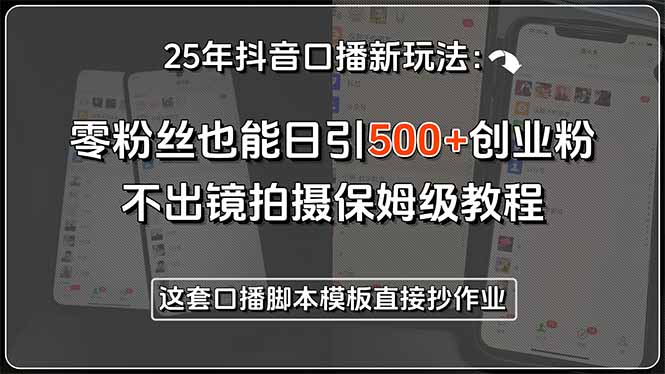25年抖音口播新玩法：零粉丝也能日引500+创业粉，不出镜拍摄保姆级教程…-彼飞网创