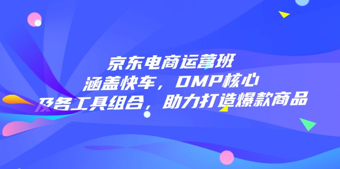 京东电商运营班：涵盖快车，DMP核心及各工具组合，助力打造爆款商品-彼飞网创