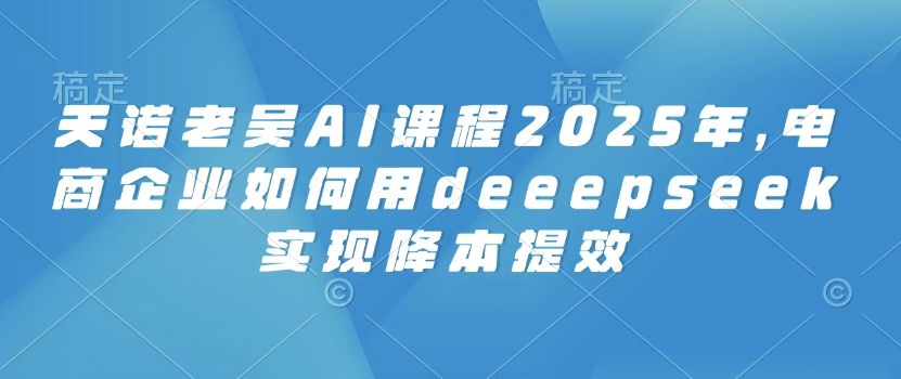 天诺老吴AI课程2025年，电商企业如何用deeepseek实现降本提效-彼飞网创