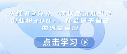 小红书3分钟一条作品精准引流创业粉300+，打造属于自己的流量帝国-彼飞网创