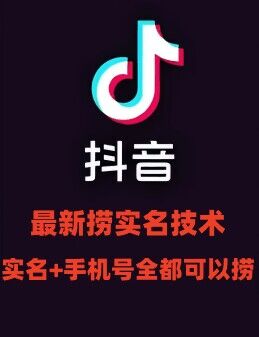 最新技术抖音捞实名+捞手机号技术，抖音直播封禁释放十名/手机号，直接替换出来!-彼飞网创