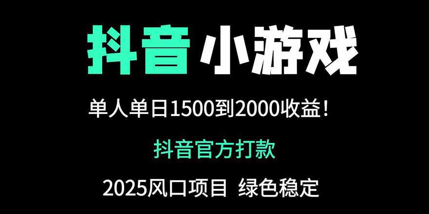 抖音官方小游戏2025全网最新玩法，暴利赚钱项目，单机日入2000+-彼飞网创