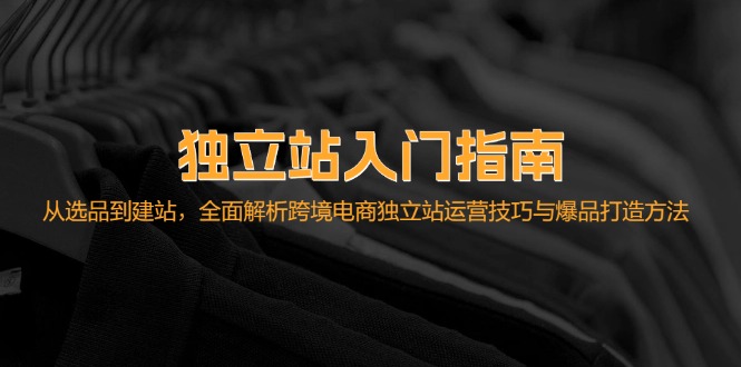 独立站入门指南：从选品到建站，全面解析跨境电商独立站运营技巧与爆品…-彼飞网创