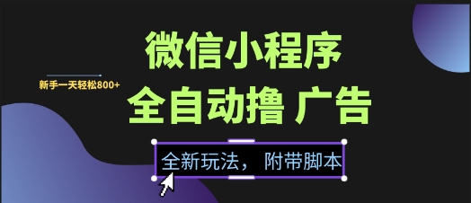 微信小程序全自动撸广告项目，彻底解决没流量的问题，新手一天8张+【揭秘】-彼飞网创