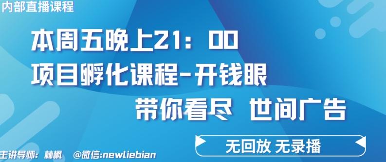 4.26日内部回放课程《项目孵化-开钱眼》赚钱的底层逻辑【揭秘】-彼飞网创
