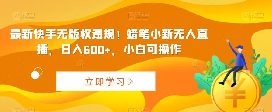 最新快手无版权违规！蜡笔小新无人直播，日入600+，小白可操作【揭秘】-彼飞网创