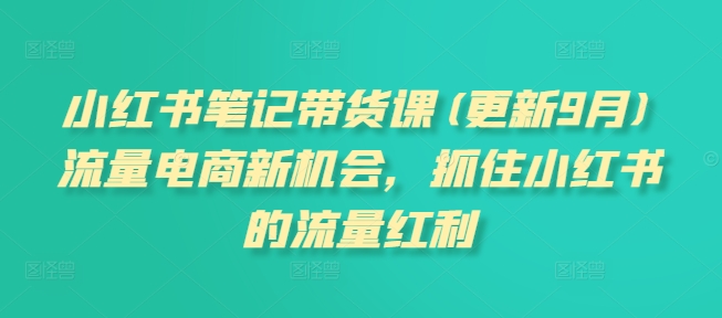 小红书笔记带货课(更新25年4月)流量电商新机会，抓住小红书的流量红利-彼飞网创