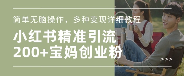小红书混剪日引200+宝妈创业粉，简单无脑操作，多种变现详细教程-彼飞网创