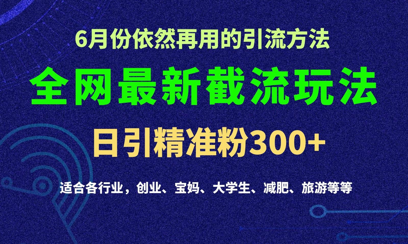 2024全网最新截留玩法，每日引流突破300+-彼飞网创