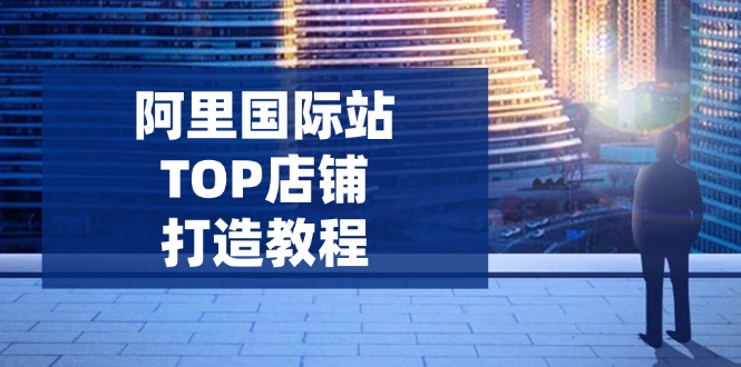阿里国际站TOP店铺打造教程：涵盖平台到高阶，解决运营难题，提升询盘-彼飞网创