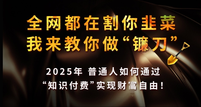全网都在割你韭菜，我来教你做镰刀，2025年普通人如何通过 知识付费 实现财F自由【揭秘】-彼飞网创