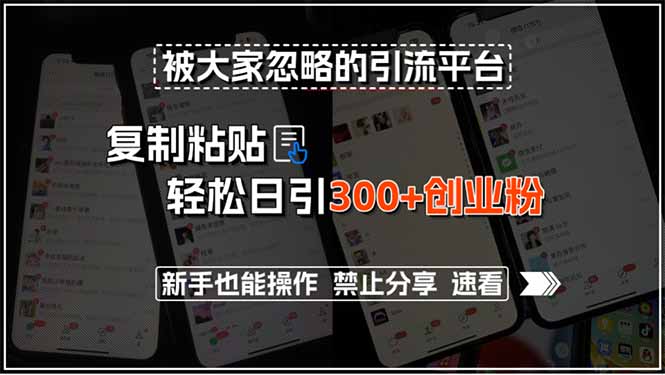 被大家忽略的引流平台，复制粘贴轻松日引300+创业粉，新手也能操作，禁…-彼飞网创