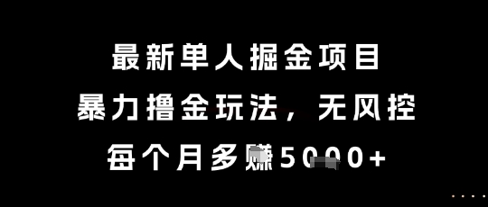 最新单人掘金项目，暴力撸金玩法，无风控，每个月多挣5k+【揭秘】-彼飞网创