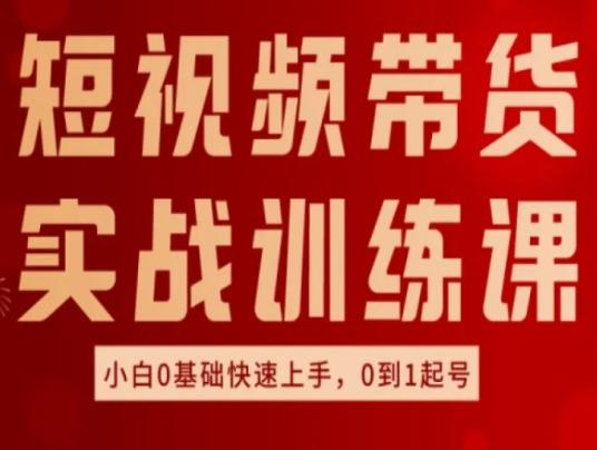 短视频带货实战训练课，好物分享实操，小白0基础快速上手，0到1起号-彼飞网创