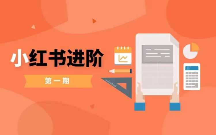 小红书进阶篇，零基础小白实战课，普通人变现的课程-彼飞网创
