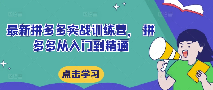 最新拼多多实战训练营， 拼多多从入门到精通-彼飞网创