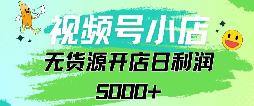 视频号无货源小店从0到1日订单量千单以上纯利润稳稳5000+【揭秘】-彼飞网创
