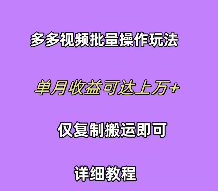 (10029期)拼多多视频带货快速过爆款选品教程 每天轻轻松松赚取三位数佣金 小白必…-彼飞网创