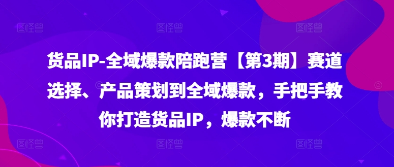货品IP全域爆款陪跑营【第3期】赛道选择、产品策划到全域爆款，手把手教你打造货品IP，爆款不断-彼飞网创